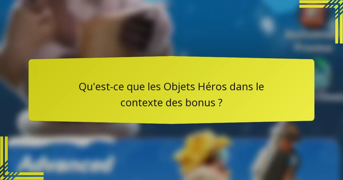 Qu'est-ce que les Objets Héros dans le contexte des bonus ?